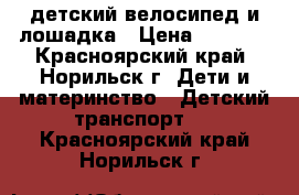 детский велосипед и лошадка › Цена ­ 3 000 - Красноярский край, Норильск г. Дети и материнство » Детский транспорт   . Красноярский край,Норильск г.